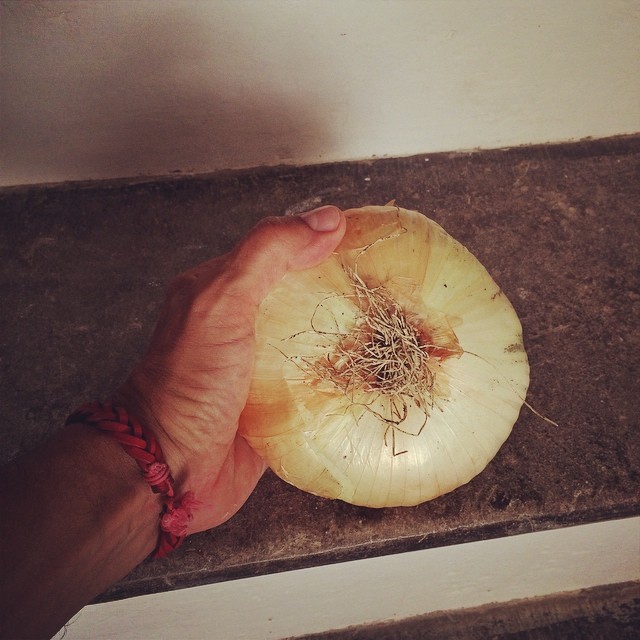 A cipudda di Giarratana XL sicilian sweet onion @elisa_grazia_it @chiaromagnoli @stephanesaclier @angelicagrizi #sicilia #summer14